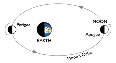 The Moon Orbits the Earth