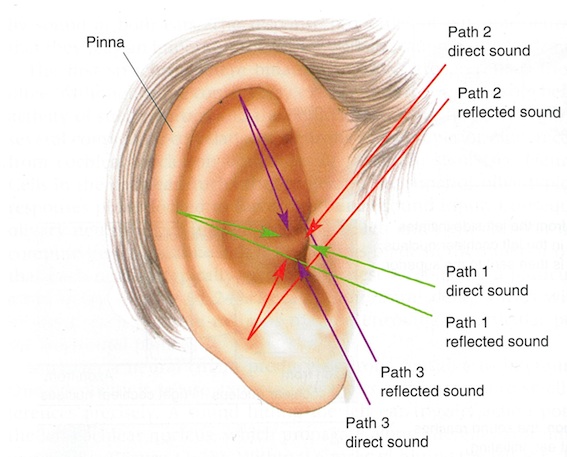 Hearing